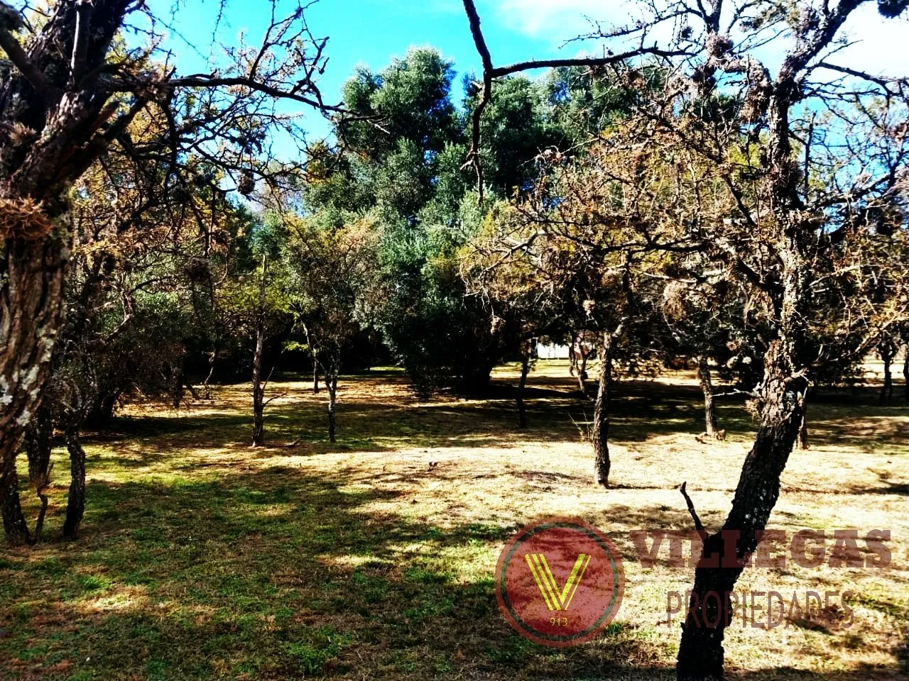 Foto 1 de TERRENO en VENTA en MERLO